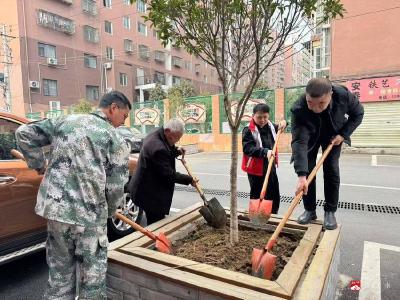 【悦·广水】前河社区：植树增绿  扮美家园