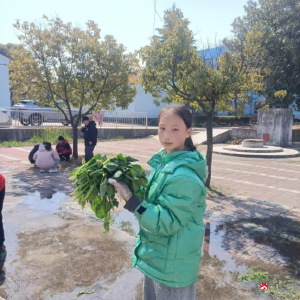 【悦·广水】育见劳动之美  点亮成长底色  