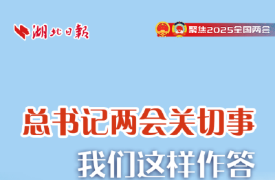总书记两会关切事，我们这样作答