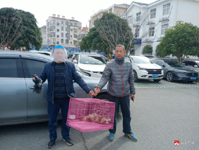 【越·广水】市林业局：救护国家二级保护动物“果子狸”