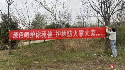 【悦·广水】应山街道五措并举筑牢森林“防火墙”