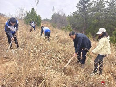 【越·广水】广水市财政局：雷锋精神代代传 义务植树美家园