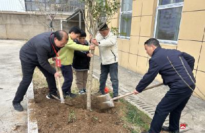 【越·广水】“植”此青绿 ，共赴春光——广水市第三实验小学植树节活动