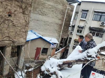 【悦•广水】南关社区：大树倒伏压民房 紧急处置保安全