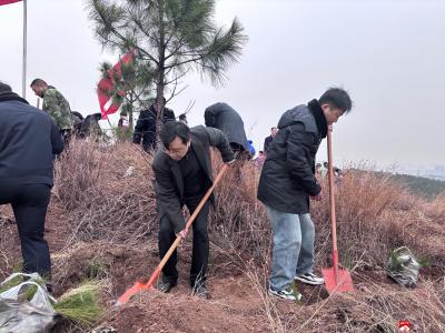 【越·广水】应山街道：“植”此青绿 与春相约