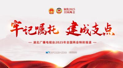 专题 | 牢记嘱托 建成支点·聚焦2025年全国两会