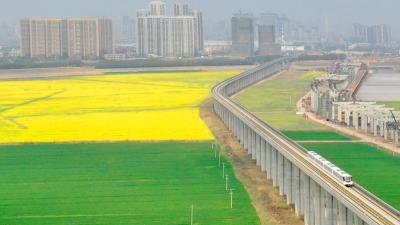 四连赞！外交部发言人点赞武汉地铁站