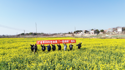 【越·广水】为油菜生产保驾护航！广水启动油菜“一促四防”行动