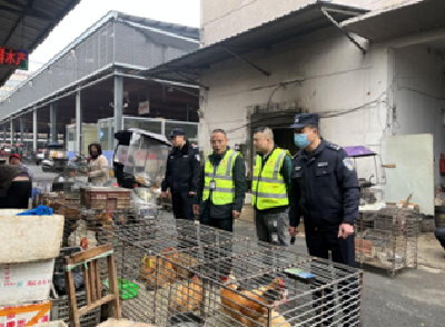【越·广水】市林业局联合市公安局开展野生动植物保护市场巡查