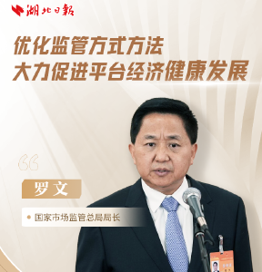 全国两会“三大通道”上，这些闪耀的“湖北身影”