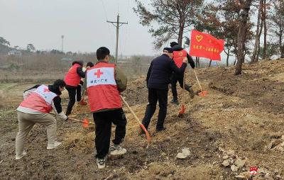 【越·广水】传承红色基因 共建绿色家园  ——太平镇退役军人志愿服务队开展义务植树活动