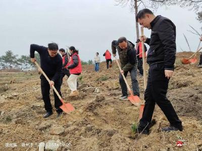 【越·广水】“树”起代表担当，“种”出生态未来