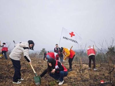 【越·广水】春风拂绿红十字 志愿丹心映青山  ——陈巷镇红十字志愿服务队开展义务植树活动