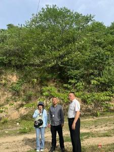【越·广水】市林业局扎实开展“双随机、一公开”检查