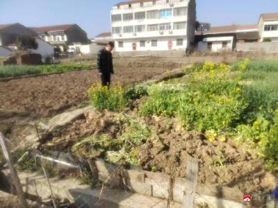 【越·广水】太平镇：禁种铲毒齐发力，织密无毒防护网