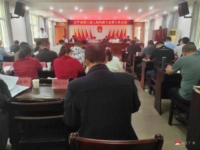 【越·广水】勇立潮头谋发展 奋楫扬帆启新程 ——太平镇第三届人民代表大会第七次会议凝聚奋进力量