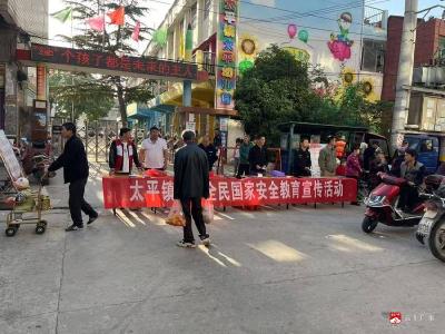 【越·广水】太平镇开展“4·15”全民国家安全教育日暨扫黄打非普法宣传活动