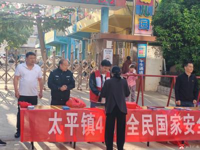 【阅·广水】太平镇太平幼儿园积极参加全民国家安全教育日活动
