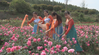 【越·广水】十里这片“粉色浪漫”地   等你来打卡