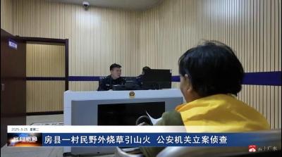 湖北曝光7起典型案例！7人被拘留！