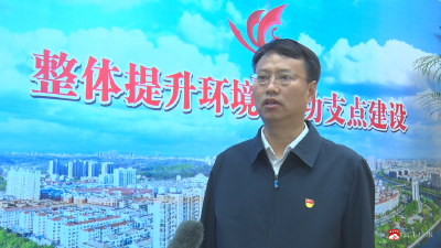 【整体提升环境 建功支点建设】系列访谈｜杨寨镇党委书记宋月亮：实干挑大梁发挥镇能量   以一域之光为全局添彩