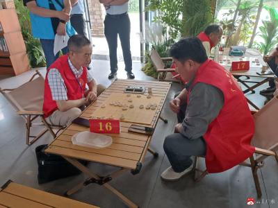 【悦•广水】余店镇：象棋争霸展雄姿　棋场折桂铸文魂