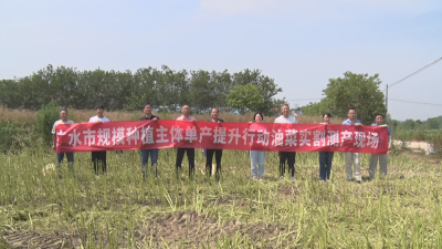 【越·广水】亩产高达226公斤！广水油菜实割测产喜提亮眼“成绩单”