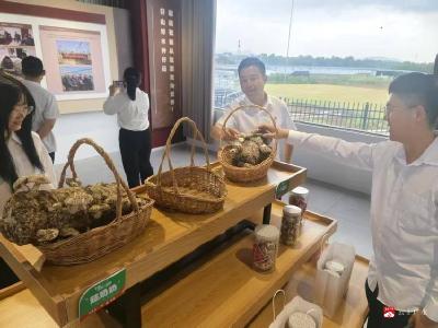 【越·广水】广水党校学员调研郝店镇花菇产业，探索新型农村集体经济发展路径