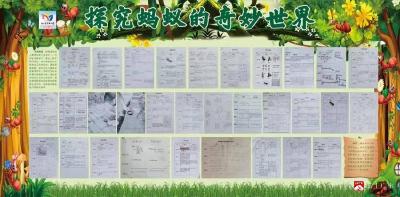 【阅·广水】探秘自然·科创筑梦——广水市实验小学开展科创实践活动