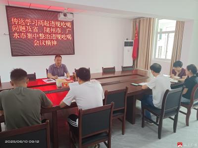 【越·广水】余店财政所召开学习集中整治违规吃喝会议精神专题会议报告