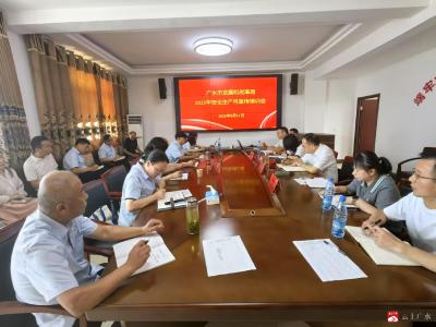 【越·广水】市发改局召开2025年安全生产月 宣传培训会