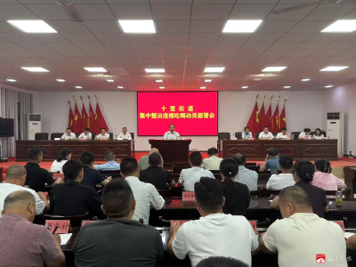 【越·广水】十里街道召开集中整治违规吃喝动员部署会