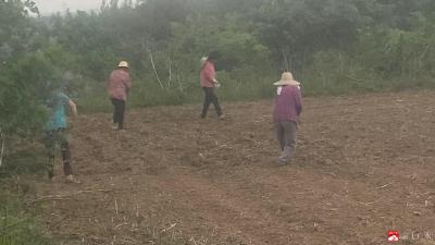 【越·广水】广水市骆店镇桥头村：抢抓时机 助力村集体经济增收​
