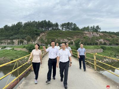 【越·广水】柯学明深入阳家细河太平段巡河
