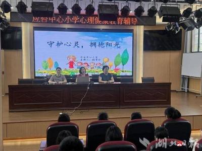 【阅·广水】城郊应台小学：守护心灵 拥抱阳光