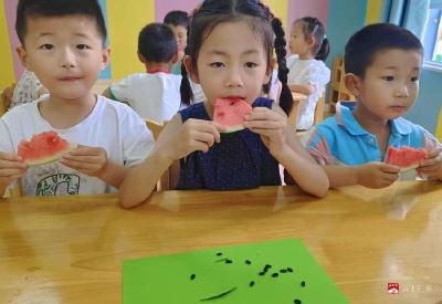 【阅·广水】童心探夏趣，快乐“暑”于你——广办中心幼儿园夏日主题系列活动