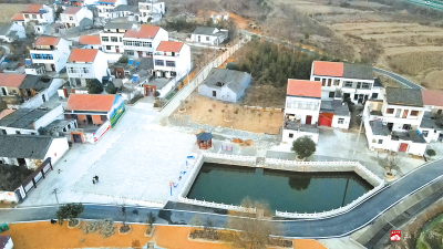 【越·广水】广水市武胜关镇：克难奋进的“百强”答卷