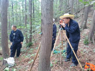 【越·广水】中华山森林资源清查收官 绿色家底焕新能