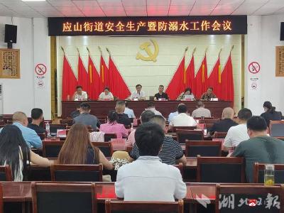 【越·广水】应山街道办事处：筑牢安全防线 守护群众安全