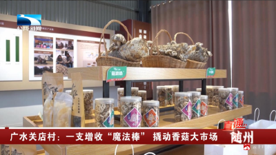 【越·广水】广水关店村：一支增收“魔法棒” 撬动香菇大市场