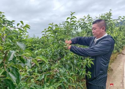 铭记历史 缅怀先烈丨烽起“磐石”传薪火——东北抗联创建地的振兴新篇
