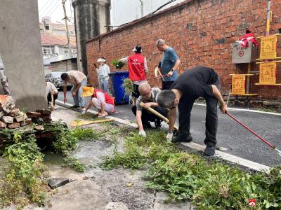 【悦•广水】北正街社区：清洁家园  除草护绿   