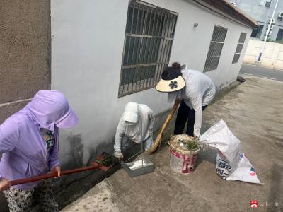 【悦•广水】红石坡社区：干部群众齐上阵 清洁家园美环境