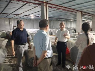 【越·广水】市供销社赴基层企业调研共商品牌发展路径