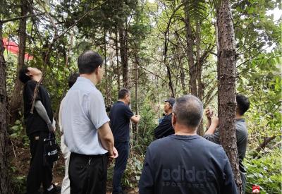 【越·广水】中华山林场举办2025年森林质量提升项目施工现场培训会