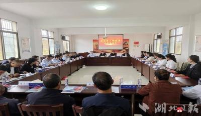 【越·广水】广水金融监管支局：党建引领聚合力 金融惠民助振兴