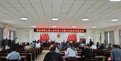 【越·广水】李店镇第三届人民代表大会第七次会议胜利召开