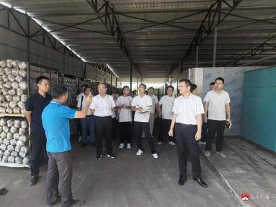 【越·广水】水利青年干部赴香菇基地研学 汲取产业精神赋能水利事业