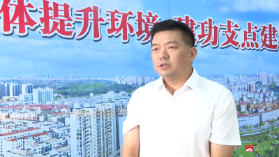 【整体提升环境 建功支点建设】系列访谈｜余店镇：提质增效锻造强镇引擎 奋楫争先绘就宜镇新篇