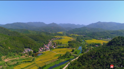 【整体提升环境 建功支点建设】系列访谈｜蔡河镇：提振干部士气 汇聚支点合力